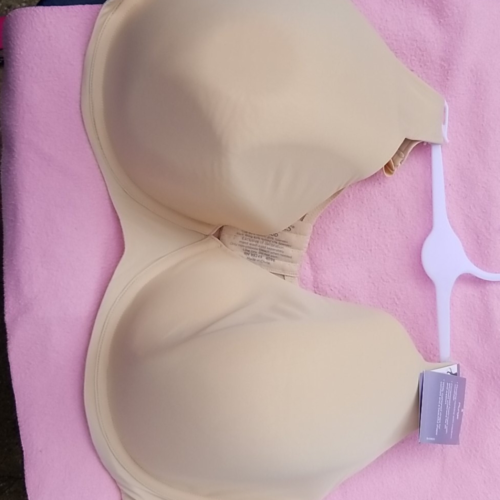 Catherine's Plunge Bra